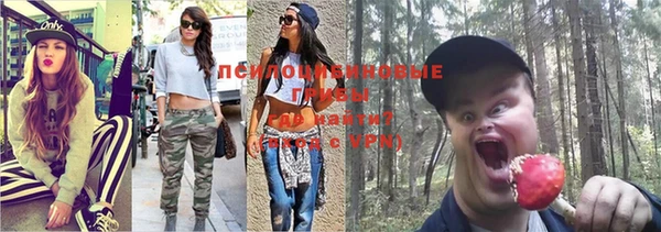 меф Белокуриха